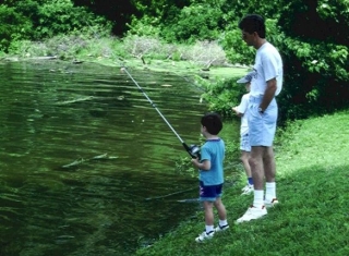 Pecher dans la Vienne